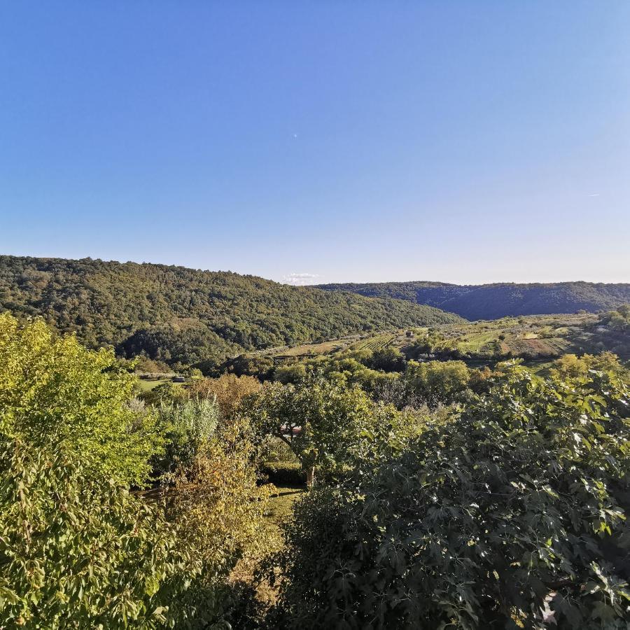 Apartma Zan Appartement Šmarje Buitenkant foto